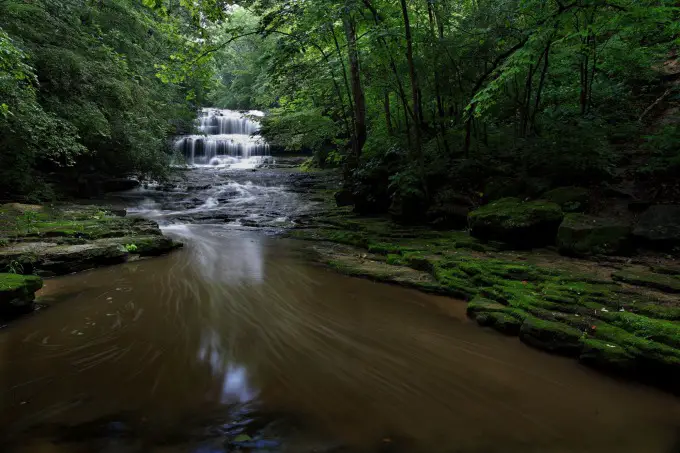 A river in a forest in Ohio