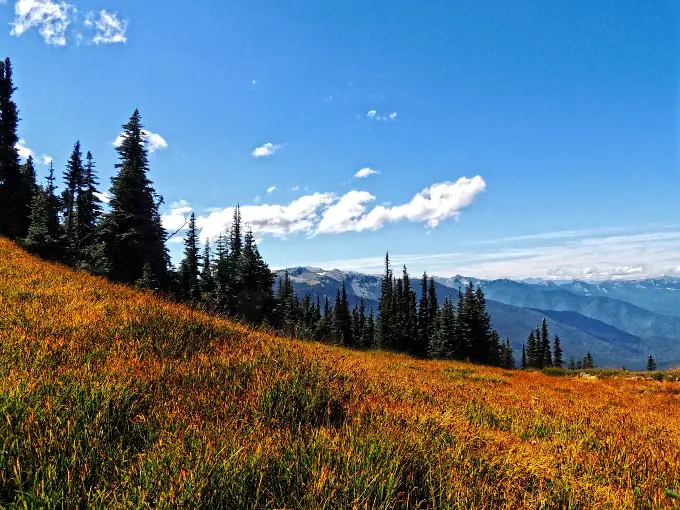 Mountains in Washington