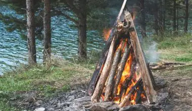 How to Start a Fire in the Wild