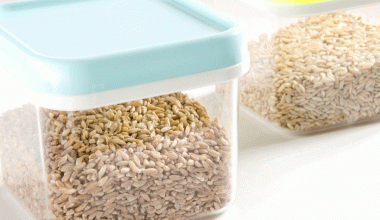 Best Rice Storage Container in 2021